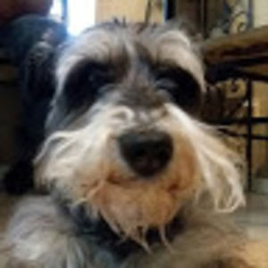 Meet your Posher, Giothundersplayz_yt